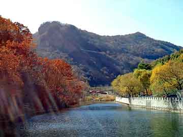 新澳天天开奖资料大全旅游团，一度神灯